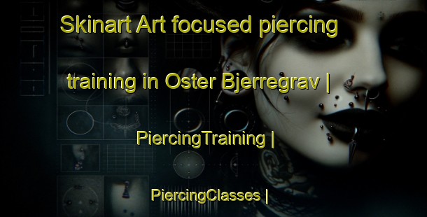 Skinart Art-focused piercing training in Oster Bjerregrav | PiercingTraining | PiercingClasses | SkinartTraining-Denmark